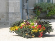 Fleurs bourg