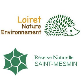 Sortie à la Réserve Naturelle Nationale de Saint Mesmin