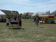 FJ_2011_21