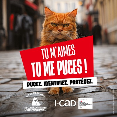 Semaine nationale de l'identification des chiens et chats